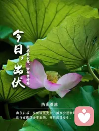 若要漂亮的眼睛，要看到別人的好處。若要苗條的身材，把你的食物分享給饑餓的人，若要優美的嘴唇，要說親切的話。


---奧黛麗?赫本配圖