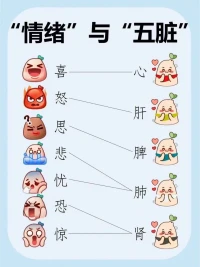 身體與情緒的關系，就像河床與河水的關系，正常的情緒應該是：流淌但不郁結，經歷但不壓抑，感受但能放下。流水不腐，無論是喜悅、憂傷、憤怒，還是思慮和恐懼，只要能夠從身體的河床中流走，都不會造成問題。但如果情緒一下子來得太多、太猛、太激烈，狹窄的河道無法及時通過，憋住了，洪水失控、泛濫，便會沖毀身體的河床。配圖