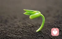 學會和自己相處

人這一生，往往習慣于探索外在的世界，而忽略了自己的內心。

但事實上，要想幸福，要想掌握自己的人生，我們要做的第一步，就是學會面對自己，學會和自己相處。

熱愛自己，對自己體貼照顧、真誠關懷；

尊重自己，選擇對自己真正有好處的事物，即使這些事物不一定是你想要的或是令你快樂的。配圖