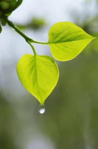 如何應(yīng)對(duì)冷暴力？
    遇到冷戰(zhàn)時(shí)，首先要重視自己的感受，堅(jiān)信自己不會(huì)被對(duì)方控制。其次，不要試圖扮演圣母角色，虐待者只有自己認(rèn)識(shí)到錯(cuò)誤并主動(dòng)改變，才有可能停止傷害。所以不要產(chǎn)生幻想，認(rèn)為你能治愈對(duì)方，這不是你的責(zé)任。

如果以上方法無(wú)效，立即尋求幫助是必要的。向?qū)I(yè)人士尋求幫助不代表軟弱或丟臉，要記住，勇敢尋求幫助的人才是真正勇敢的人！配圖