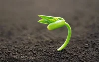 情緒本身是沒有好壞之分的，有破壞性的是我們拒絕情緒所傳達的需求，或者對情緒不恰當的管理方式。

面對不同場合，我們會調動不同的心理資源。面對的人員、場景不同，我們所感受到的壓力也不同，調動的應對模式也因此不同，導致最終產生的應對方式也不同。配圖
