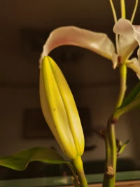 關(guān)系中我們就像一面鏡子、映照彼此，輸贏不重要，雙贏才重要。配圖