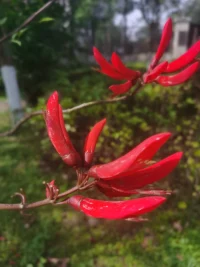 你是什么樣的人，就會(huì)吸引什么樣的人。配圖