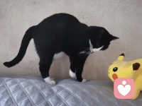 與人交往的建議：一是真正地對(duì)他人感興趣。二是保持微笑。三是記住別人的名字。四是耐心傾聽(tīng)，鼓勵(lì)別人談?wù)撍麄冏约骸Ｎ迨钦務(wù)搫e人感興趣的話題。六是讓別人感到自己重要。配圖