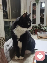 美國社會心理學(xué)家費(fèi)斯汀格（Festinger）有一個很出名的判斷，被人們稱為「費(fèi)斯汀格法則」：
生活中的10％是由發(fā)生在你身上的事情組成，而另外的90％則是由你對所發(fā)生的事情如何反應(yīng)所決定。配圖