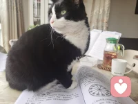 生活中没有绝对的事情，绝对的只存在于概念中，没有那么多非黑即白。配图