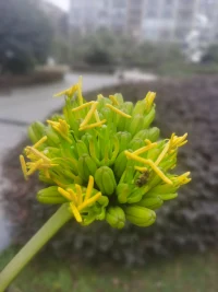 最好的開(kāi)場(chǎng)白是簡(jiǎn)單的問(wèn)聲好，這樣不會(huì)顯得做作或魯莽。配圖