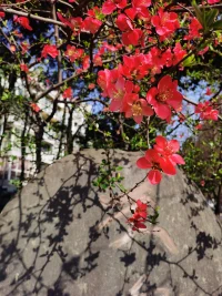 我們之所以會(huì)愛上一個(gè)人，因?yàn)槲覀冮_始和維持一段親密關(guān)系背后的動(dòng)機(jī)，是為了滿足我們未被滿足的需求。我們追求或吸引別人來做我們的伴侶，是因?yàn)槲覀冃枰惆椤⒄疹櫋⒘私狻⒅С帧⒔邮堋崦拖鄵矶摺?一旦發(fā)現(xiàn)伴侶無法滿足自己了，就想通過權(quán)力斗爭“控制”伴侶，把Ta“改造”成我們期待的模樣。這樣，只會(huì)讓彼此越來越累，永遠(yuǎn)得不到滿足。真的，別再讓“理想伴侶”的期待傷害你的感情了。配圖