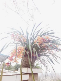 歸因，是指人們對事情發生的原因提出的解釋。存在著行動者／觀察者效應、自我服務偏差、雙方總的歸因模式的影響。對自己行為的解釋，與對觀察到的伴侶的類似行為的解釋完全兩樣；欣然地把成功歸于自己，而極力推脫自己在失敗中的罪責；幸福的人對伴侶行為的歸因都是能改善關系的，不幸的伴侶做出了維持苦惱的歸因。配圖