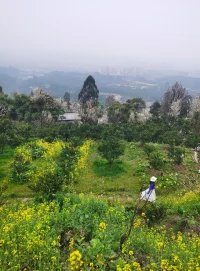 親密關系中的印象管理有兩個特點，一是管理印象的動機存在個體差異，自我監控能力高的人善于調整自己的行為，以適應各種情境下的不同規范。而自我監控能力低的人不太在乎社會規范，缺少變通，在不適合當前的情境仍保持原來固定的形象。二是盡管我們給好友和戀人營造的印象比為熟人或陌生人營造的更為重要，但是我們在前者所花的心思通常不如后者。人們在談戀愛時，憑借優雅的舉止贏得伴侶的愛情后，卻再也不肯努力在愛人面前保持風度。配圖