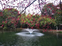 社會(huì)交換的較小利益原則認(rèn)為，較少依賴(lài)于親密關(guān)系的伴侶在關(guān)系中擁有更大的權(quán)力。當(dāng)理想的親密關(guān)系結(jié)束時(shí)，失去較少的一方會(huì)居于主導(dǎo)地位。配圖