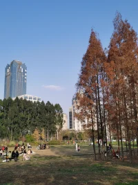 應(yīng)答性是在認(rèn)知層面上對(duì)朋友的需要和興趣表現(xiàn)出關(guān)注與支持。感知到的伴侶應(yīng)答性是認(rèn)為對(duì)方對(duì)你的需要和欲望表現(xiàn)出關(guān)注、尊重、熱心和支持。它非常具有獎(jiǎng)賞價(jià)值，那些能讓我們感受到有價(jià)值、理解和尊重的人都會(huì)吸引我們。感知到的伴侶應(yīng)答性能提升親密感，促進(jìn)自我表露、信任和相互依賴。配圖