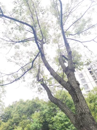 有些人更容易體驗到人際沖突。這與個體的人格、依戀類型、生命階段、相似性、是否飲酒都會有關(guān)系。高神經(jīng)質(zhì)的人、憂慮被棄的人、年紀(jì)較輕時、戀人相似性較低時、醉酒時更容易有人際沖突。配圖
