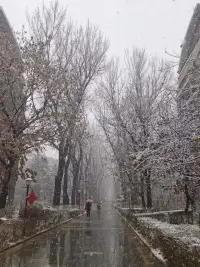 東北的冬天來啦配圖