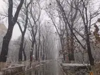 東北的冬天來啦配圖