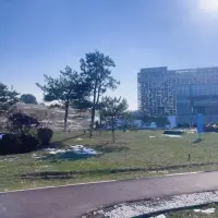 不接騷擾單，不接性咨詢。配圖