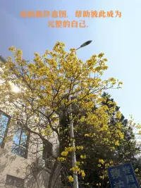 無論做什么，都會有人不喜歡，我們只要帶著覺察，帶著慈悲，練習聆聽和滿足自己的需求，療愈自己，愛自己。配圖