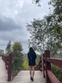 傷痛最深的地方，是人性中最深的渴望。配圖