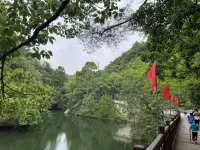 不斷地重復自己的創傷經歷，不斷地重演自己的問題模式，不斷地在同一個地方摔倒，是因為這種強迫性的重復在某種程度上是一種自我療愈的方式。配圖