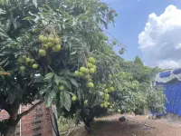 心理咨詢的目的是讓人發(fā)生改變，而改變需要自我察覺，這不是一個(gè)愉快輕松的過程。而這一切的改變發(fā)生的基礎(chǔ)，是來訪者的主動(dòng)性，他必須是自愿的、自發(fā)的，并且為自己即將開始的改變負(fù)上自己的責(zé)任配圖