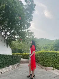 當我用慈悲的心看待自己生命的那一刻時，痛苦從我的生命中慢慢消失，前行的力量漸漸聚集。配圖
