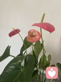 每一個行為背后都有正面信息。配圖