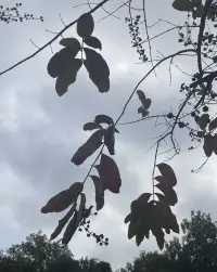 一段关系里，  
疲惫时，别急着否定“爱消失了”，  
或许只是“表达爱的方式”需要更新。  

???? 试着问自己：  
▫️ 最近一次认真倾听对方，是什么时候？  
▫️ 那些没说出口的期待，是否成了隐形的墙？  

好的感情不是永远不吵架，  
而是吵完架依然愿意靠近，  
在泪水中看见彼此的需求，  
在磨合里长出新的默契。  

如果你正经历情感的雨季，  
别忘了，阳光总在云层后等待。  
我愿做那个撑伞陪你走一段的人，  
直到你们重逢晴空。配图