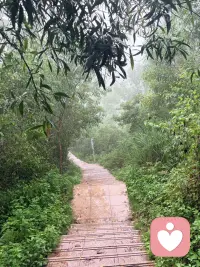 昨晚有个来访跟我说，她又把前任的好友加回来了，加完就骂自己没出息。

其实这不是没出息。心理学里有个说法叫“未完成事件”——人对没被好好收尾的关系，执念会比正常结束的深得多。你反复删了又加，不是还爱他，是那个“被辜负了的自己”一直没被安放。

可以试一个小练习（告别仪式法）：

1. 拿张纸，把没说出口的委屈、愤怒、遗憾全写下来，不修饰。

2. 折好塞进抽屉，给自己定个期限（3天或7天），期间允许自己打开看。

3. 期限到了，选一种方式处理掉它（烧/撕/埋），同时心里说一句：这段关系，我允许它过去。

做完如果还是反复难受、半夜醒、控制不住搜他动态，说明底层伤口不在“放不下人”，而在“不敢看见自己”。

私信我发“1”，我帮你看看你的未完成事件卡在哪一层。