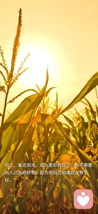 人們常說：沒有做過的事情比做了失敗的事情在今后會產生更大的后悔感。

沒做可能性百分之百是零，做了就還有希望。《肖申克的救贖》中有句話我很喜歡，分享給你：hopeisagoodthing,maybethebestofthings.Andnogoodthingeverdies.(希望是個好東西，也許是世界上最好的東西。好東西從不會逝去。)

加油，共勉！配圖