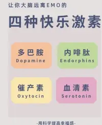 讓你大腦遠離ＥＭＯ的四種快樂激素：
 多巴胺   內(nèi)啡肽   催產(chǎn)素  血清素配圖