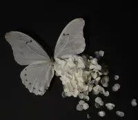 大大方方結束一段失敗的關系，是我們成長路上的必修課，不要去糾結那些已經發生的事和那些爛掉的關系，也不要因為一時的不開心而影響到自己，花遲早會開，只是花期還沒到，放過他，也放過自己，愛本身就是無解的命題，把自己還給自己，把別人還給別人。配圖