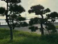 有一天早晨我扔掉了所有的昨天，
從此我的腳步就輕盈了.
一 泰戈爾配圖