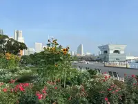 和任何人走得太近都是一種災難。
人生如尺，必須有度。
最好的關系是：親疏有度，相看不厭，久處不累。
—— 稻盛和夫配圖