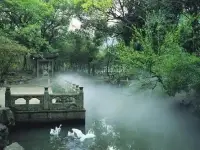 大千世界，茫茫人海，我們能毫無理由、不為利益、不求回報(bào)、專心致志地愛一個(gè)人，我們能飛蛾撲火、奮不顧身地愛上一個(gè)與我們沒有血緣關(guān)係的“外人”，這種愛，本身就是一個(gè)令人匪夷所思的奇跡.配圖