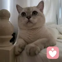 達(dá)克效應(yīng)
全稱：鄧寧-克魯格效應(yīng)
它是一種認(rèn)知偏差現(xiàn)象，指的是能力欠缺的人在自己欠考慮的決定的基礎(chǔ)上得出錯(cuò)誤結(jié)論，但是無法正確認(rèn)識(shí)到自身的不足，辨別錯(cuò)誤行為。這些能力欠缺者們沉浸在自我營造的虛幻的優(yōu)勢(shì)之中，常常高估自己的能力水平，卻無法客觀評(píng)價(jià)他人的能力。配圖