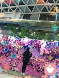 時(shí)間帶走一切，長年累月會(huì)把你的名字、
外貌、性格、命運(yùn)都改變。
——柏拉圖配圖