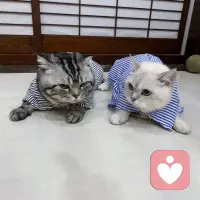 聚光燈效應 
又稱：焦點效應
是1999年季洛維奇和薩維斯基提出心理學名詞。有時候我們總是不經意的把自己的問題放到無限大，當我們出丑時總以為人家會注意到，其實并不是這樣的，人家或許當時會注意到可是事后馬上就忘了。聚光燈效應是在人們評價自己的行為和在別人面前的形象存在偏見時出現的，其克服的方法有時刻提醒自己、弄清楚自己的目的等。配圖