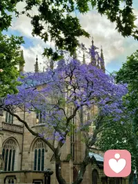 信任不是一種態(tài)度，而是一種能力。
一個(gè)人對(duì)外界的人和事的信任，
是其對(duì)自己的信任向外投射的結(jié)果。配圖