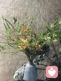 夢(mèng)是一個(gè)人與自己內(nèi)心的真實(shí)對(duì)話，
是一個(gè)向自己學(xué)習(xí)的過(guò)程，
是與自己息息相關(guān)的另一種生活。
———弗洛伊德傳世語(yǔ)錄配圖