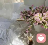 “無論你遇見誰，他都是你生命該出現的人，
絕非偶然，他一定會教會你一些什么”。
所以我也相信：
“無論我走到哪里，那都是我該去的地方，
經歷一些我該經歷的事，遇見我該遇見的人”。配圖