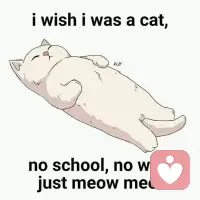 明天對于世界而言，永遠是一個奇跡。
——-柏拉圖配圖