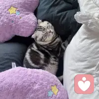 自我效能感：
是一個人對自己在特定情境下能取得成功的信念。

心理學家Albert Bandura認為這些信念影響著
人們如何思考、如何采取行動、以及如何感受我們在這個世界上的地位，并對心理狀態、行為、動機等各個方面都會產生影響。
我們每個人都有自己想要完成、改變、
實現的事情，要將愿望付諸行動并不簡單。
在這個過程中，自我效能感起著重要的作用，
它決定了我們選擇追求哪些目標、如何完成這些目標、以及在實踐后如何反思自己的表現。配圖