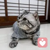 你是一面鏡子，如果你繼續漠視自己，
你將只會遇見同樣漠視你的人.
如果你全心沉浸到愛里，
宇宙將會為你獻上，那些同樣愛你的人。
一 露比?考爾配圖