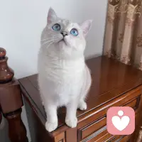 為著品德而去眷戀一個人，
總是一件很美的事.

———柏拉圖配圖