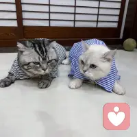 不要糾結男人愛不愛你，
男人是沒有愛情的，
他跟小孩一樣，
只想要快樂和無條件的母愛.
———-余華《女人的勝利》配圖