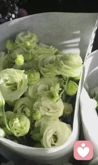 今天是感恩節(jié)。
有人說，“世間的一切都是遇見，
就像冷遇見了暖，有了雨；
春遇見了冬，有了歲月；
天遇見了地，有了永恒；
人遇見人，就有了故事。
人生在世，沒有平白無故的遇見，
我們感恩每一段遇見，
世上所有的相遇，都有它的意義~
有幸邂逅，萍水即是緣
珍重相處，知己常相伴！
感恩每一位的遇見！配圖