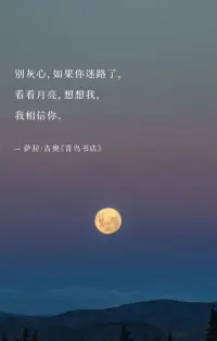 别灰心，如果你迷路了，
看看月亮，想想我，我相信你。
-萨拉•吉奥《青鸟书店》