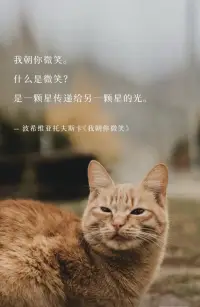 我朝你微笑。
什么是微笑？
是一顆星傳遞給另一顆星的光。

一波希維亞托夫斯卡《我朝你微笑》配圖