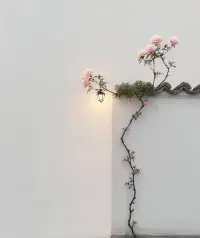 自己不醒悟他人如何渡.
自己若醒悟何需他人渡.配圖