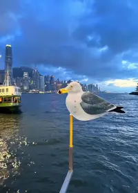 人一旦殘缺，看什么都是仰望，
人一旦圓滿，看什么都是欣賞.配圖